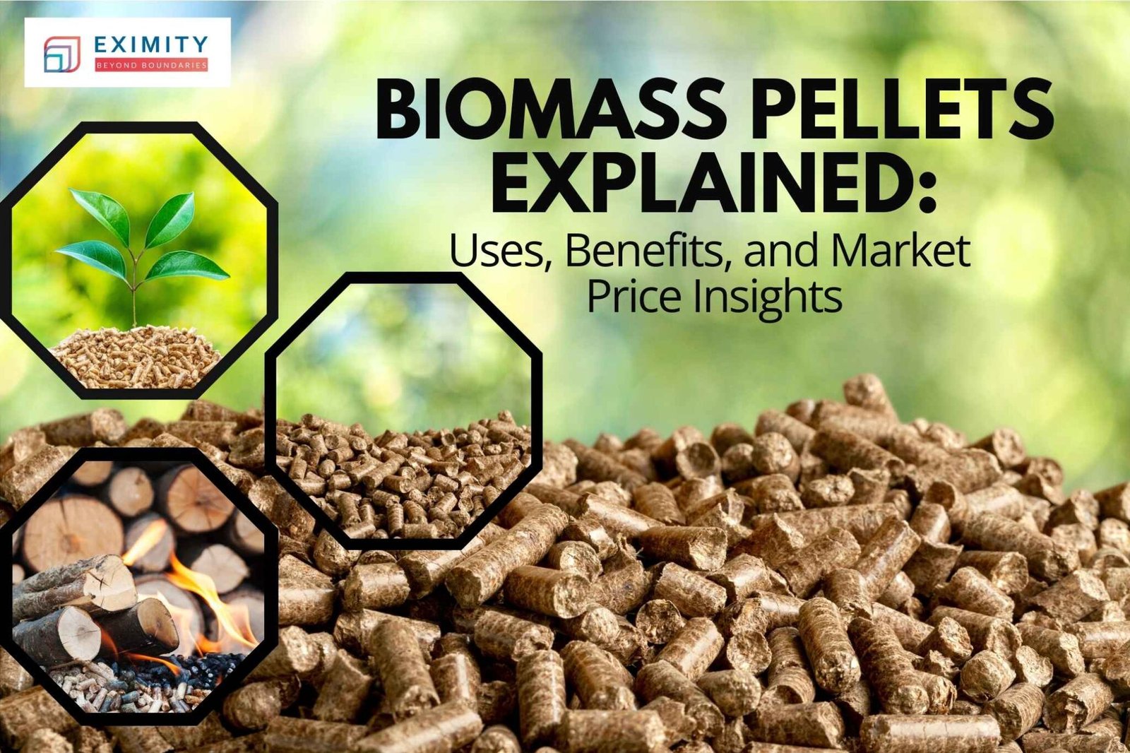 Biomass Pellets: Uses, Price & Suppliers in Gujarat