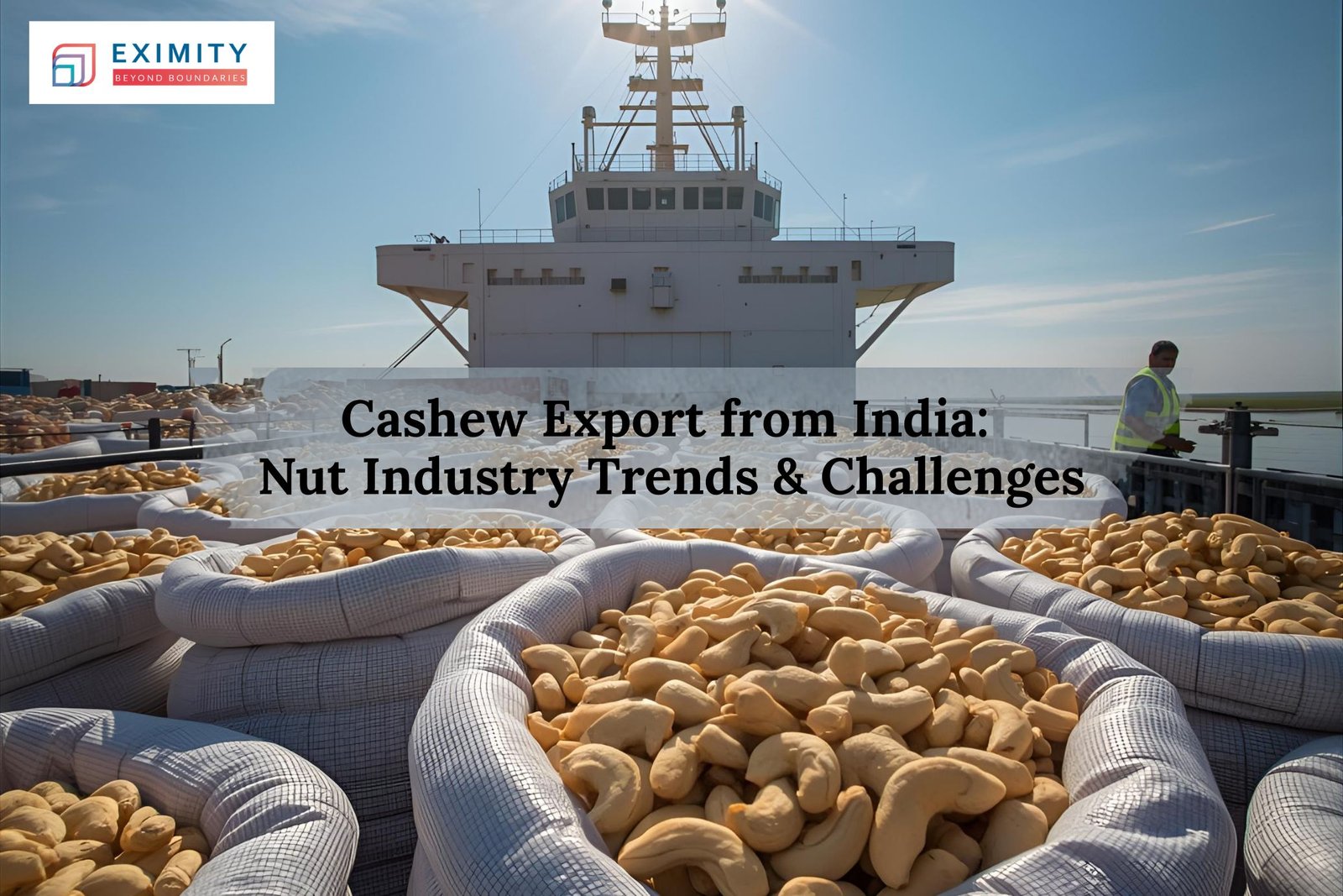 Cashew Export from India