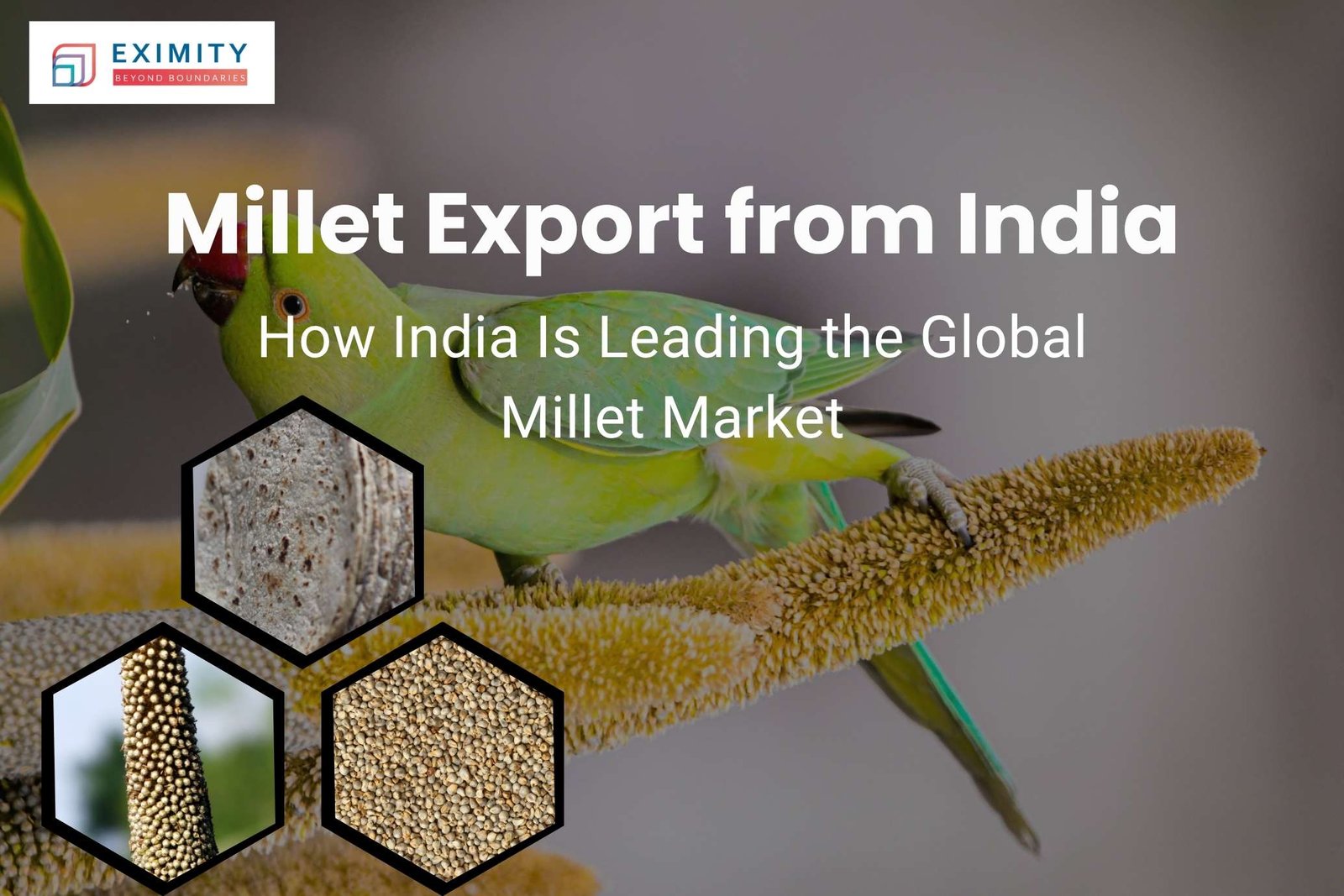 millet export from india