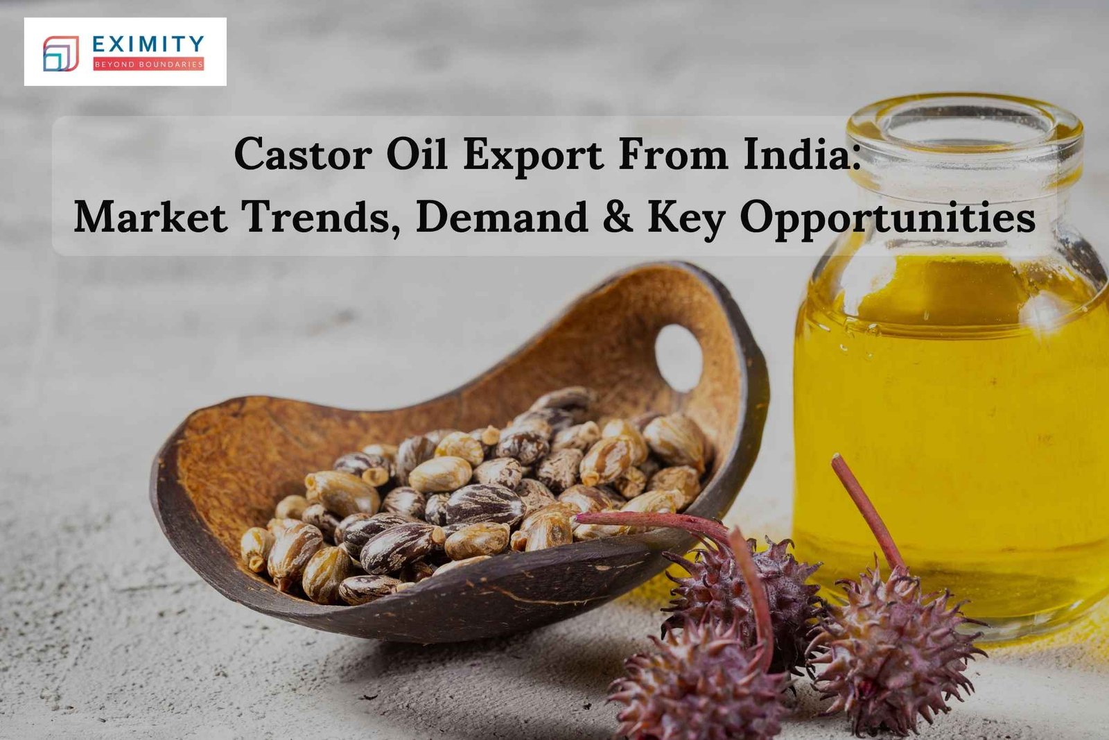 castor oil export from india