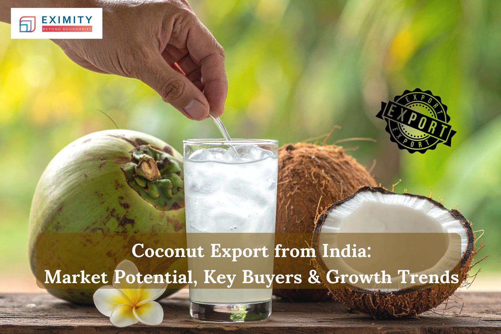 coconut export from india