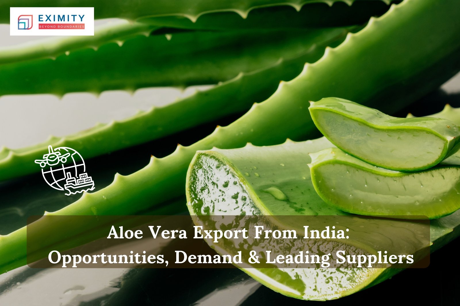 aloe vera export from india