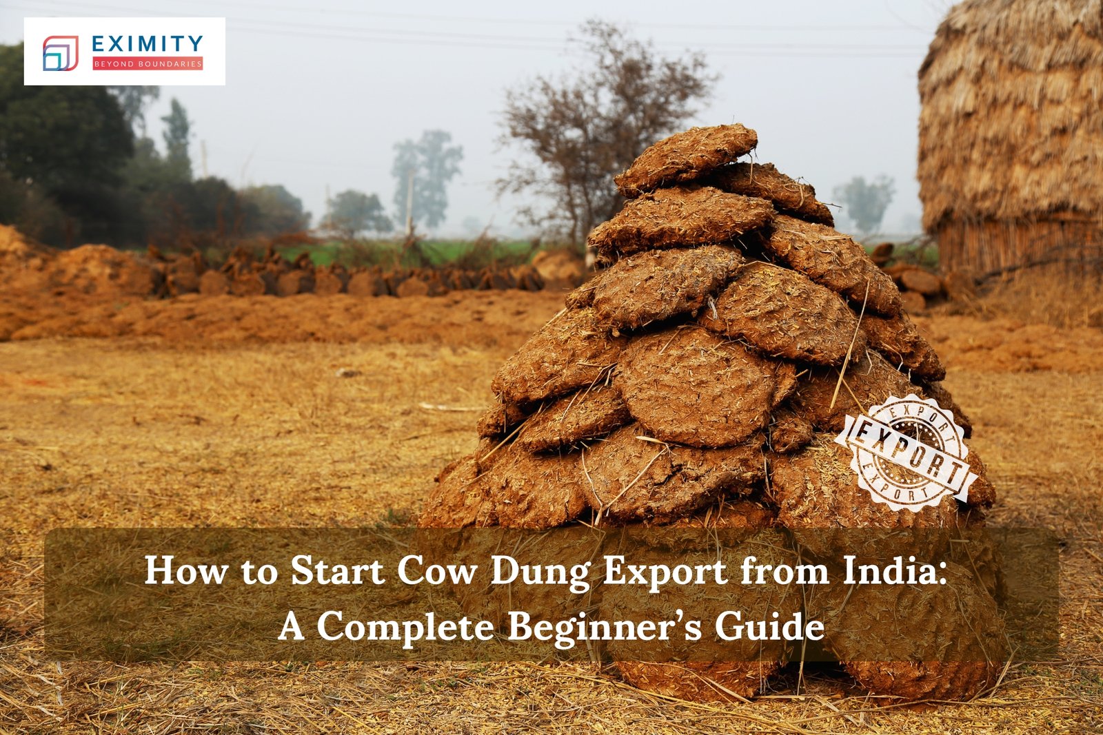 cow dung export from india