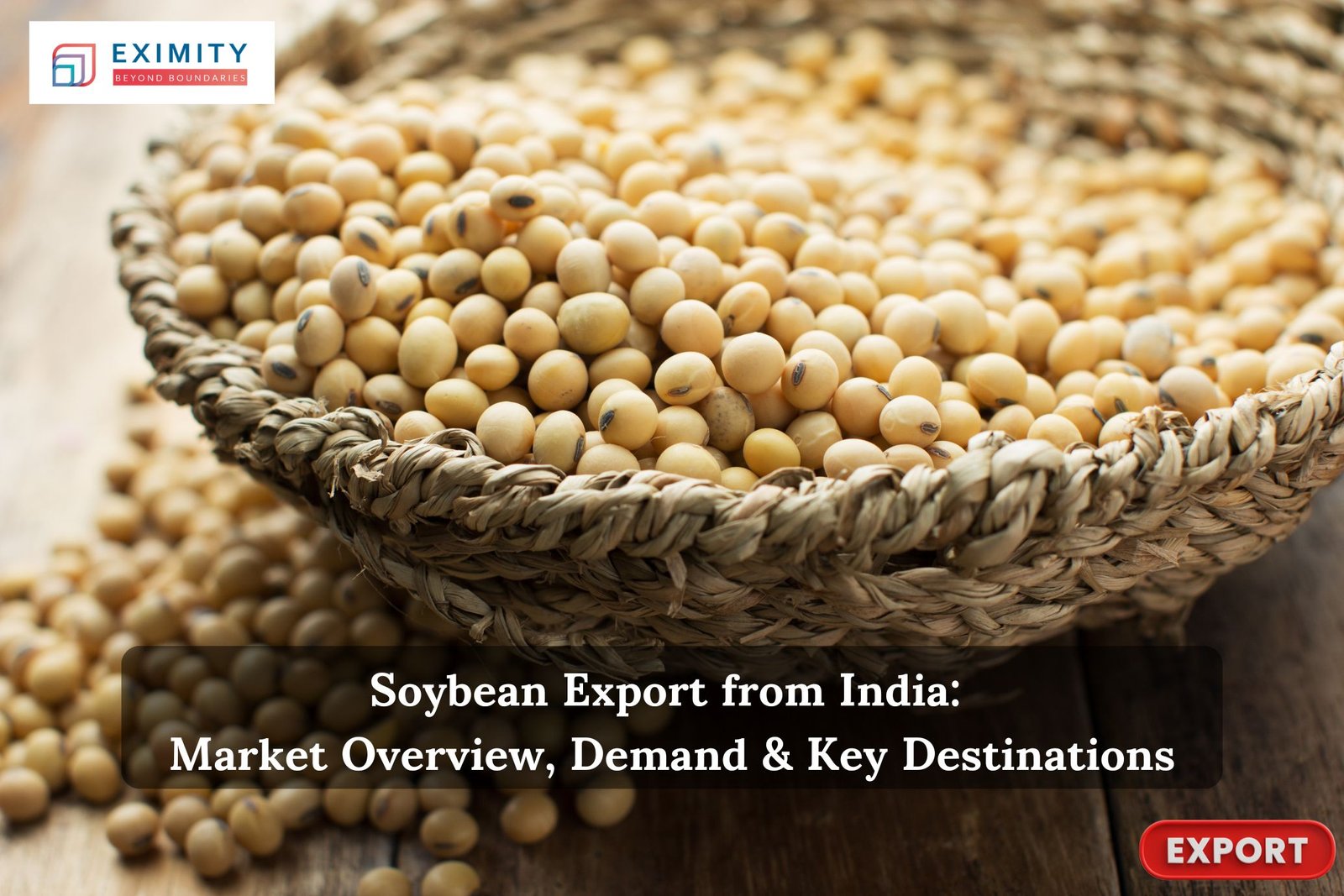 soybean export from india