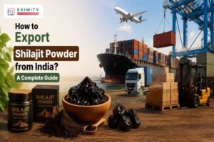 shilajit powder