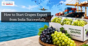 Grapes Export from India